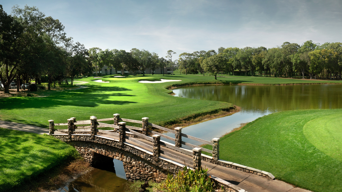 Montrose at Innisbrook by Toll Brothers